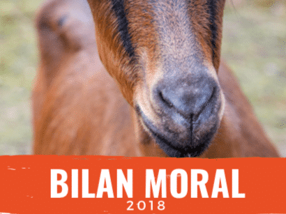 Rapport d&rsquo;activité 2018 – refuge Altervita, Ardèche