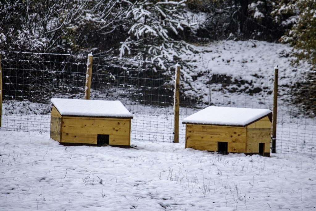 Il a neigé sur le refuge ! – refuge Altervita, Ardèche