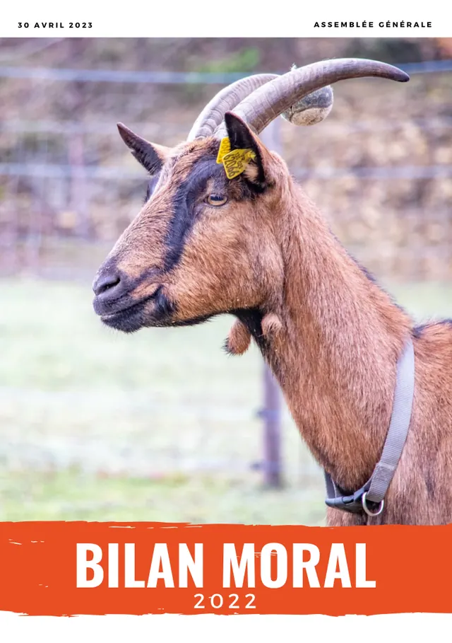 Couverture du bilan moral 2022 : une chèvre brune à cornes portant un collier