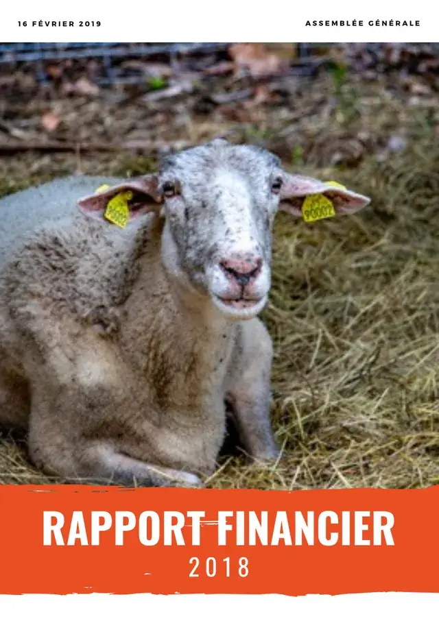 Couverture du rapport financier 2018 : une brebis couchée sur la paille, boucles jaunes aux oreilles