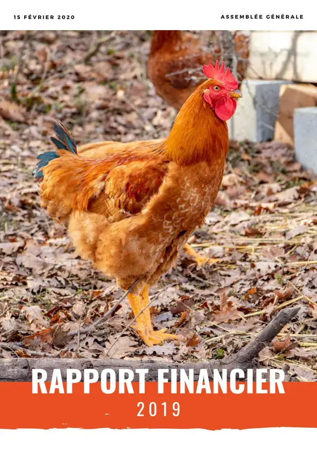 Couverture du rapport financier 2019 : un coq roux
