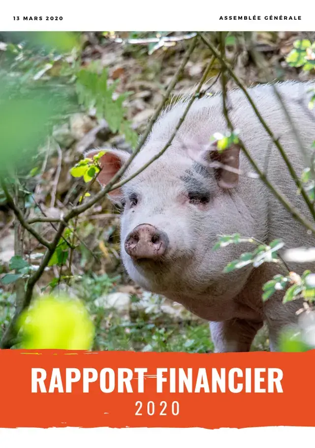 Couverture du rapport financier 2020 : un cochon rose