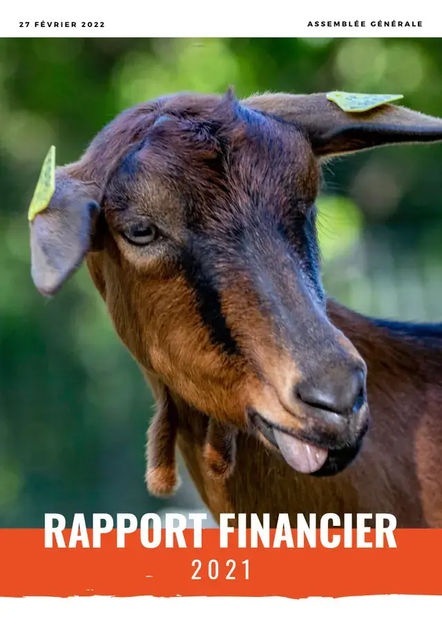 Couverture du rapport financier 2021 : une chèvre brune qui tire la langue