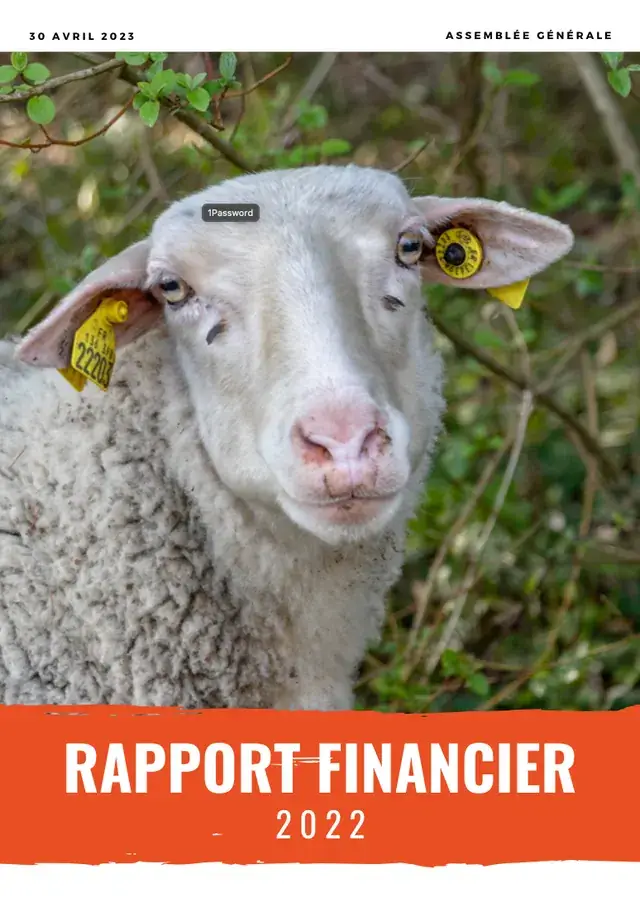 Couverture du rapport financier 2022 : une brebis blanche aux boucles jaunes
