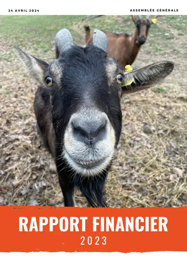 Couverture du rapport financier 2023 : une chèvre noire