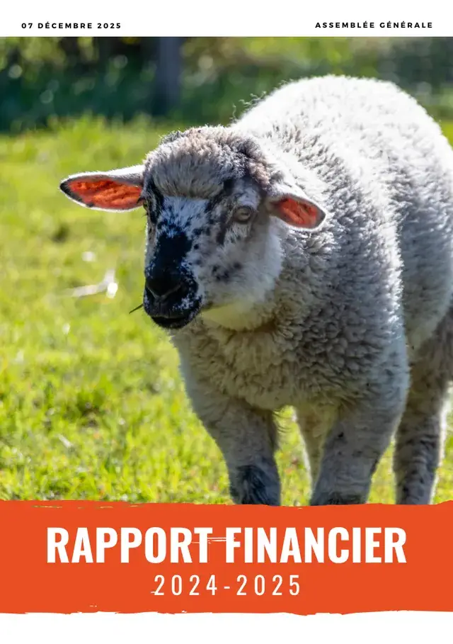 Couverture du rapport financier 2024-2025 : une brebis grise au museau tacheté dans l’herbe